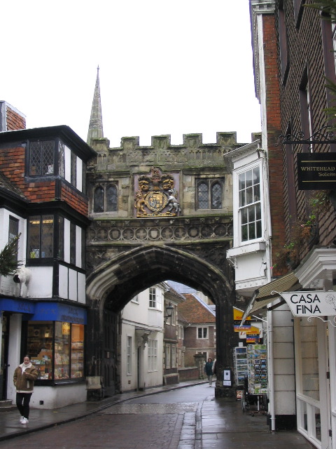 Salisbury Close Gate